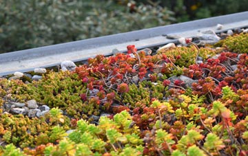 the cost of Forewoods Common green roof installation