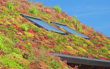 Forewoods Common living roof systems