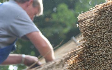 professional Forewoods Common thatchers