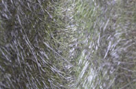 Forewoods Common fibreglass roof work